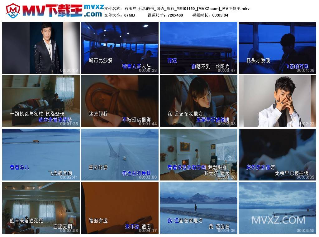 石玉峰-无息的伤_国语_流行_YE101150
